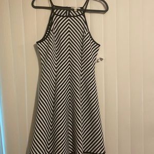 NWT Sophia + Zeek black and white dress